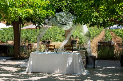 Plateau de petites assiettes garnies, posé sur une table en bois devant des vignes en arrière-plan.
