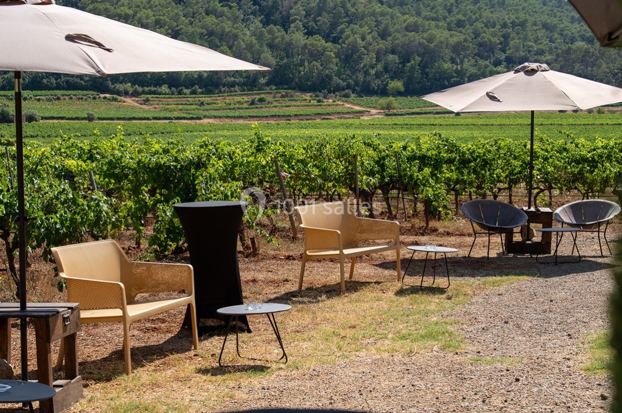 Mobilier de jardin sous des parasols, installé près de vignes verdoyantes par une journée ensoleillée.