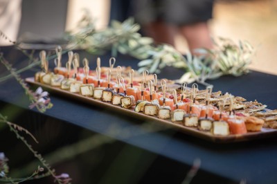 Plateau de petites assiettes garnies, posé sur une table en bois devant des vignes en arrière-plan.