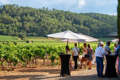 Plateau de petites assiettes garnies, posé sur une table en bois devant des vignes en arrière-plan.