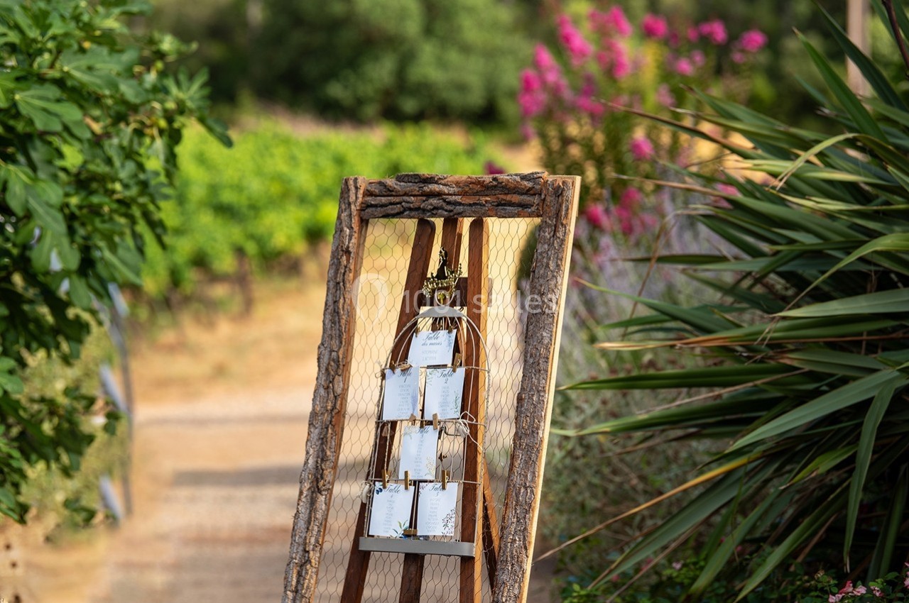 Cadre en bois avec grillage exposant des cartes suspendues, placé dans un jardin avec des plantes et des vignes en arrière…