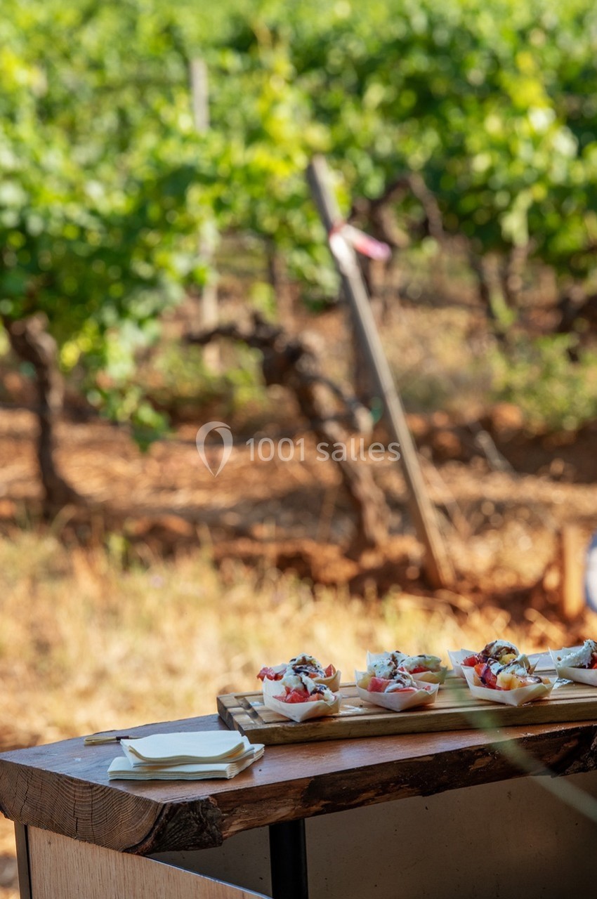 Plateau de petites assiettes garnies, posé sur une table en bois devant des vignes en arrière-plan.