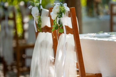 Plateau de petites assiettes garnies, posé sur une table en bois devant des vignes en arrière-plan.