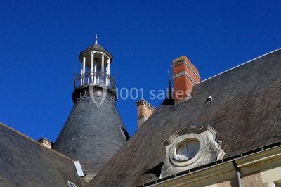 Château de Thouaré - photo 4