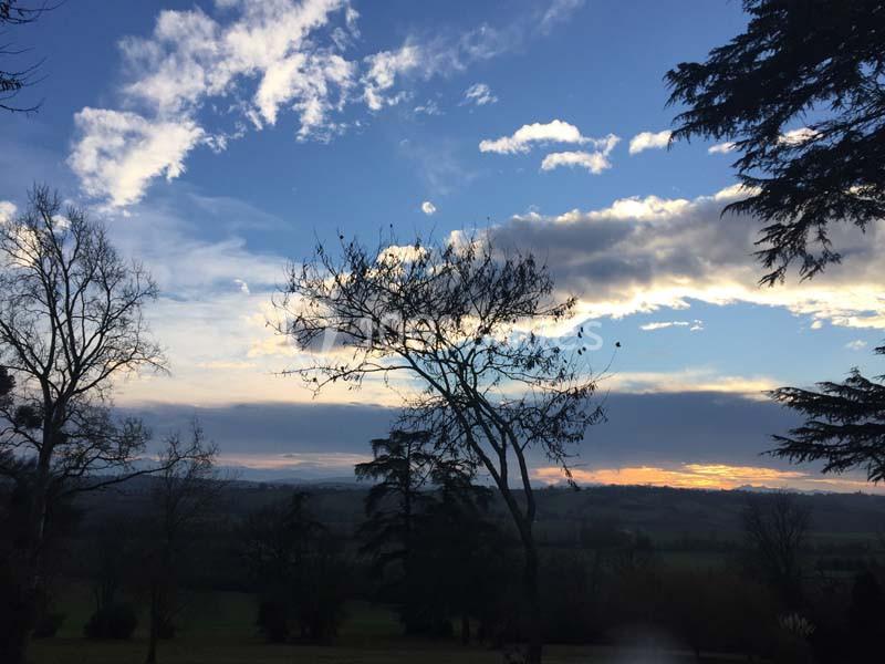 Domaine De Montoussin - galerie - photo 8