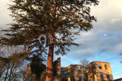 Domaine De Montoussin - photo 4