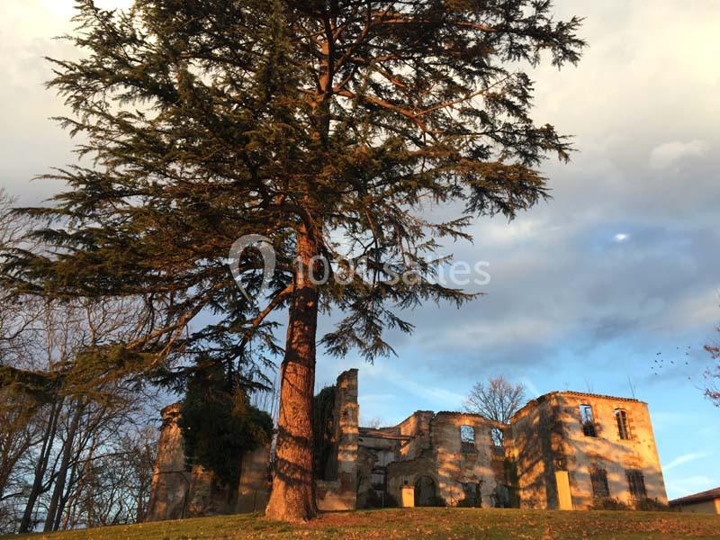 Domaine De Montoussin - galerie - photo 4