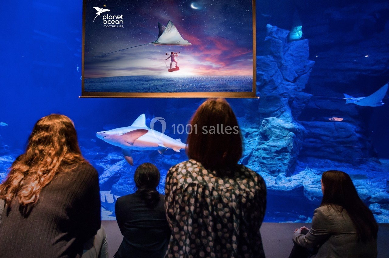 Des visiteurs observent un aquarium avec des requins, sous une affiche lumineuse représentant un enfant volant avec un cerf…