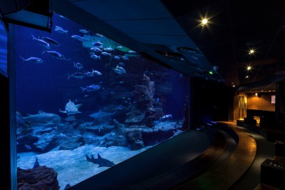 Planet Ocean Montpellier - photo 4