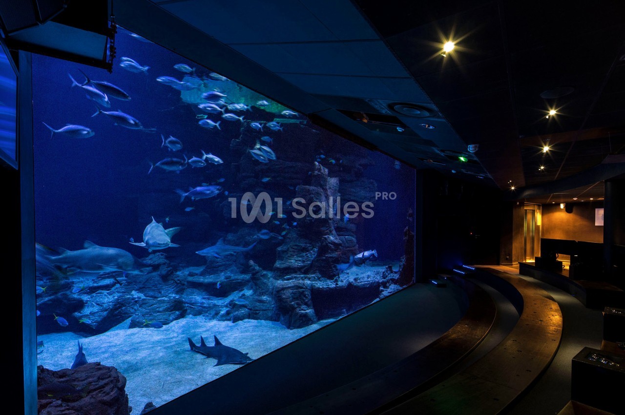 Grand aquarium éclairé avec divers poissons nageant parmi des rochers, observé depuis une salle sombre avec des gradins.