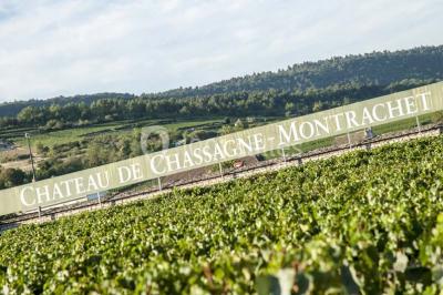 Château De Chassagne - Montrachet - photo 2