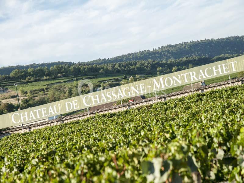Château De Chassagne - Montrachet - galerie - photo 2