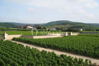 Château De Chassagne - Montrachet - photo 3