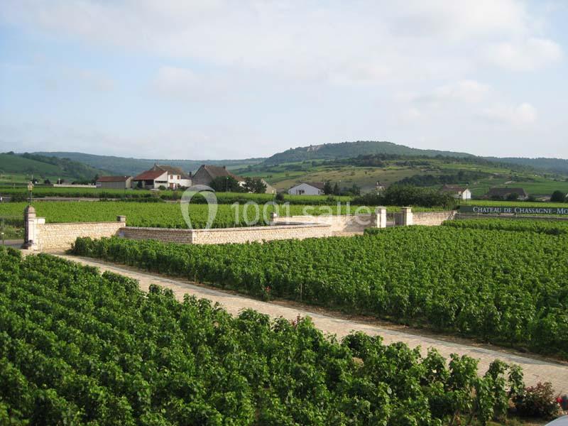Château De Chassagne - Montrachet - galerie - photo 3