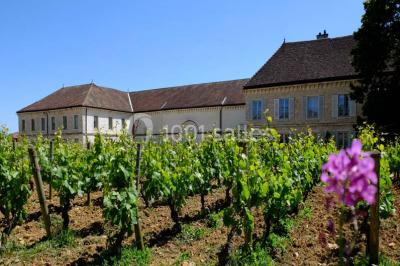 Château De Chassagne - Montrachet - photo 1
