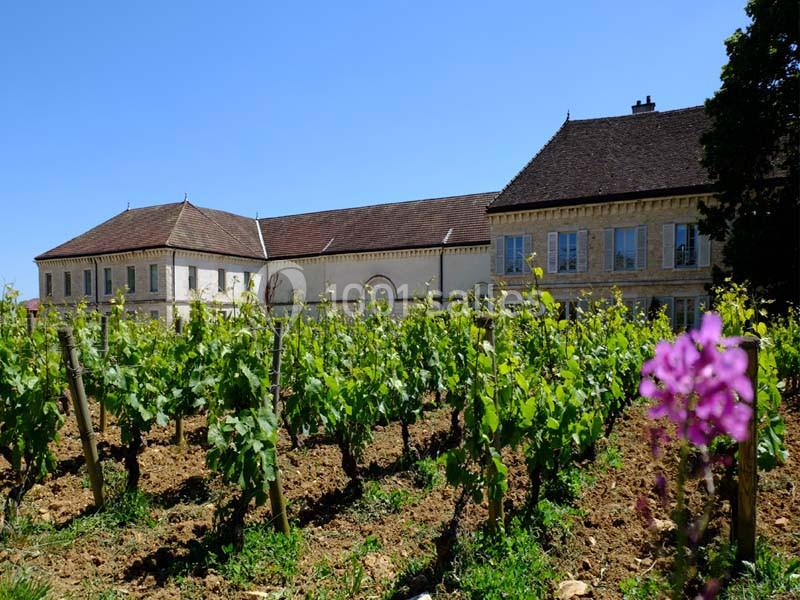 Château De Chassagne - Montrachet - galerie - photo 1