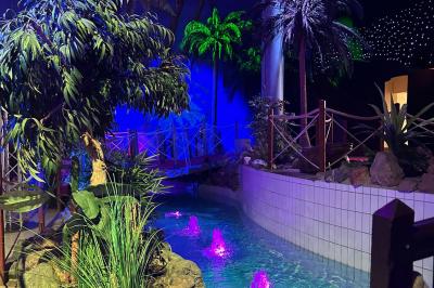 Décor intérieur avec éclairage coloré, fontaines illuminées, végétation tropicale et tables dressées en arrière-plan.