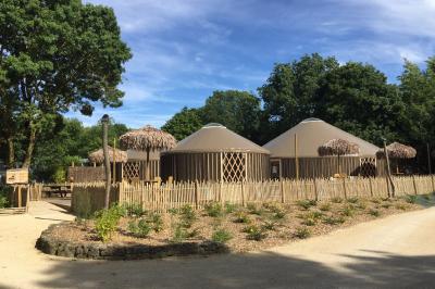Espace extérieur décoré avec arche florale, deux chaises transparentes et fond blanc sous une tente.