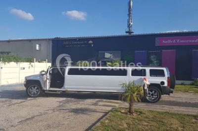 Assiette gastronomique avec un feuilleté garni, sauce, salade verte au parmesan et tomate cerise.