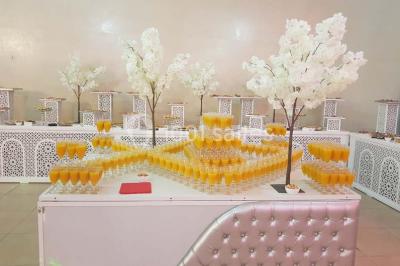 Assiette gastronomique avec un feuilleté garni, sauce, salade verte au parmesan et tomate cerise.