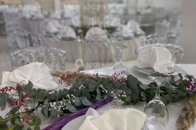 Location salle Carros (Alpes-Maritimes) - Salle Les Palmiers #15