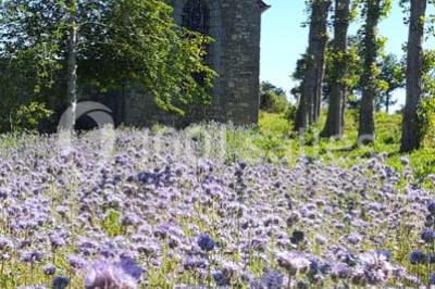 Location salle Mézières-sur-Couesnon (Ille-et-Vilaine) - Château De La Giraudais #22