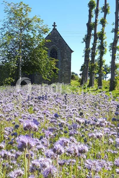 Location salle Mézières-sur-Couesnon (Ille-et-Vilaine) - Château De La Giraudais #18