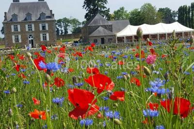 Location salle Mézières-sur-Couesnon (Ille-et-Vilaine) - Château De La Giraudais #22