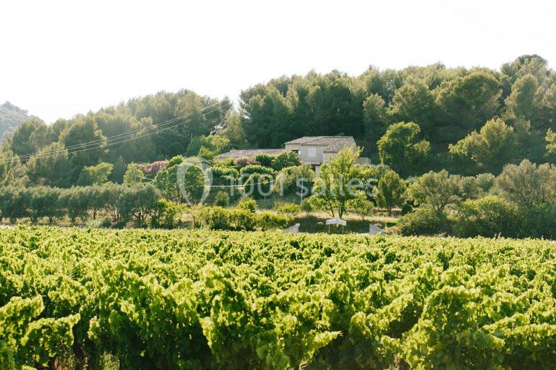 Location salle Ceyras (Hérault) - Le Mas Des Oliviers #1