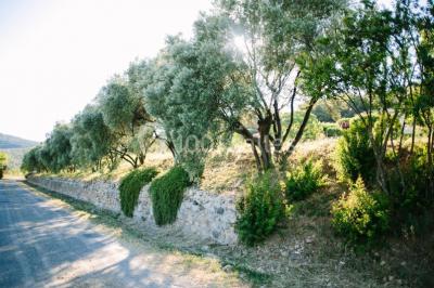 Miniature Location salle Ceyras (Hérault) - Le Mas Des Oliviers #2 Location salle Ceyras (Hérault) - Le Mas Des Oliviers #24