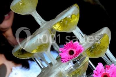 Miniature Location salle Ceyras (Hérault) - Le Mas Des Oliviers #23 Location salle Ceyras (Hérault) - Le Mas Des Oliviers #24