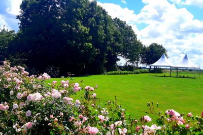 Deux réfrigérateurs professionnels vides dans une pièce carrelée avec une table en inox au premier plan.