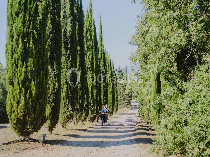 Location salle Montauroux (Var) - Domaine De Pijaubert #21