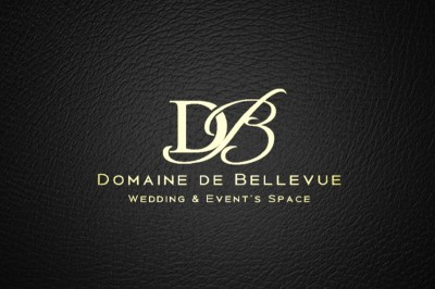 Domaine de Bellevue - photo 1