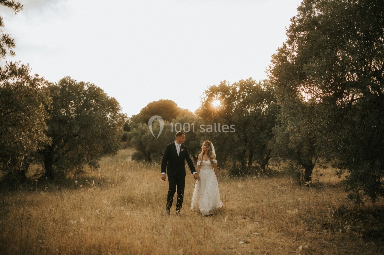 Un couple en tenue de mariage marche main dans la main dans un champ entouré d'oliviers au coucher du soleil.
