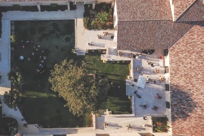 Miniature Location salle Coudoux (Bouches-du-Rhône) - Château Saint Hilaire #19 Un couple en tenue de mariage s'enlace dans un champ entouré d'oliviers sous une lumière douce.