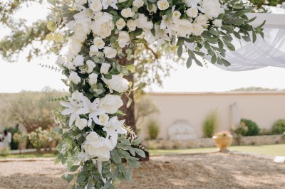Miniature Location salle Coudoux (Bouches-du-Rhône) - Château Saint Hilaire #27 Un couple en tenue de mariage s'enlace dans un champ entouré d'oliviers sous une lumière douce.