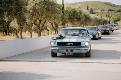 Miniature Location salle Coudoux (Bouches-du-Rhône) - Château Saint Hilaire #28 Un couple en tenue de mariage s'enlace dans un champ entouré d'oliviers sous une lumière douce.