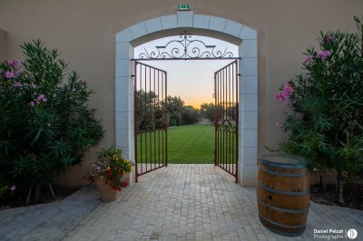 Miniature Location salle Coudoux (Bouches-du-Rhône) - Château Saint Hilaire #33 Un couple en tenue de mariage s'enlace dans un champ entouré d'oliviers sous une lumière douce.