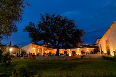 Miniature Location salle Coudoux (Bouches-du-Rhône) - Château Saint Hilaire #51 Un couple en tenue de mariage s'enlace dans un champ entouré d'oliviers sous une lumière douce.