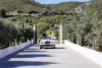 Miniature Location salle Coudoux (Bouches-du-Rhône) - Château Saint Hilaire #52 Un couple en tenue de mariage s'enlace dans un champ entouré d'oliviers sous une lumière douce.