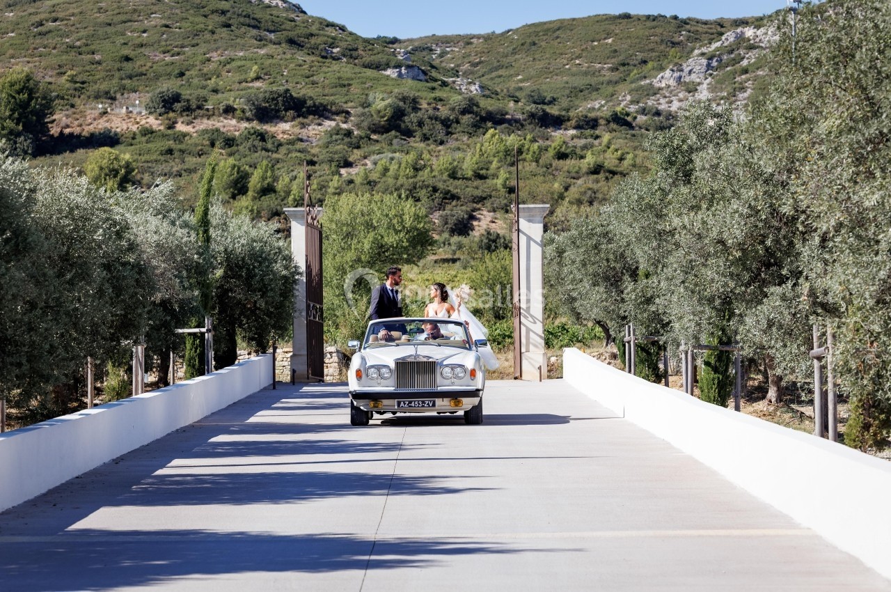 Un couple en tenue de mariage conduit une voiture décapotable blanche sur une allée bordée d'arbres, en plein jour.