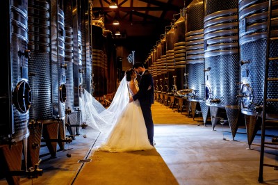 Miniature Location salle Coudoux (Bouches-du-Rhône) - Château Saint Hilaire #55 Un couple en tenue de mariage s'enlace dans un champ entouré d'oliviers sous une lumière douce.