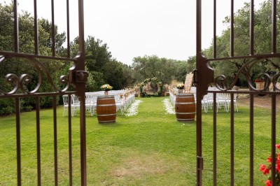 Miniature Location salle Coudoux (Bouches-du-Rhône) - Château Saint Hilaire #63 Un couple en tenue de mariage s'enlace dans un champ entouré d'oliviers sous une lumière douce.