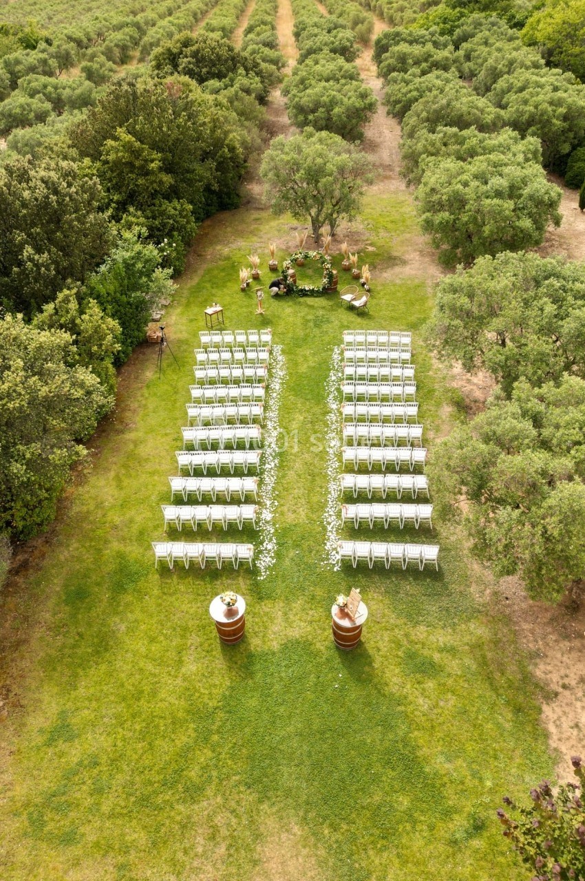 Chaises blanches alignées en extérieur pour une cérémonie, entourées d'arbres et de verdure.