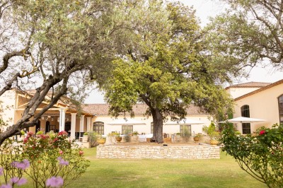 Miniature Location salle Coudoux (Bouches-du-Rhône) - Château Saint Hilaire #68 Un couple en tenue de mariage s'enlace dans un champ entouré d'oliviers sous une lumière douce.