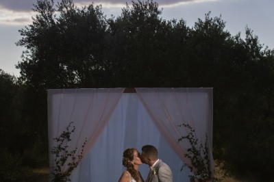 Miniature Location salle Coudoux (Bouches-du-Rhône) - Château Saint Hilaire #71 Un couple en tenue de mariage s'enlace dans un champ entouré d'oliviers sous une lumière douce.