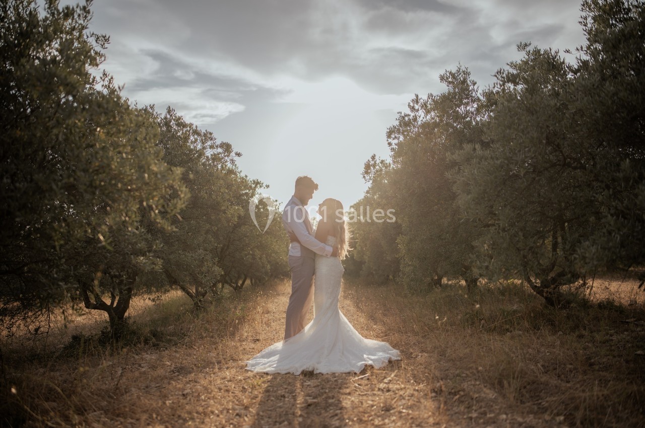 Un couple en tenue de mariage se tient dans un chemin bordé d'oliviers sous une lumière douce au coucher du soleil.