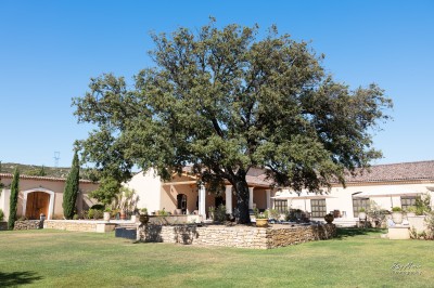 Miniature Location salle Coudoux (Bouches-du-Rhône) - Château Saint Hilaire #81 Un couple en tenue de mariage s'enlace dans un champ entouré d'oliviers sous une lumière douce.