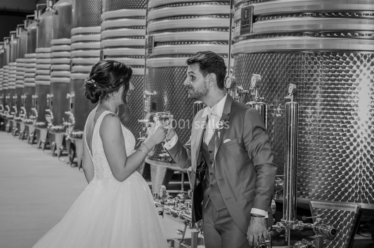 Un couple en tenue de mariage trinque devant des cuves en acier inoxydable dans une cave à vin.